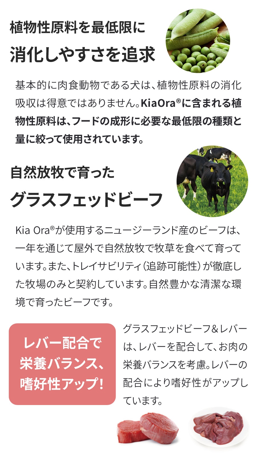 ドッグフード グラスフェッドビーフ＆レバー 9.5kg【国産鹿ラング15g付き】