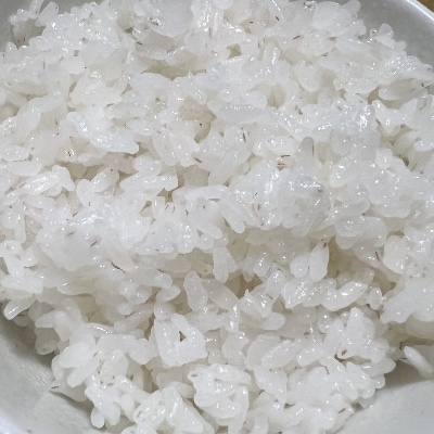 Qoo10] 令和7年産 訳あり白米15kg 数量限定