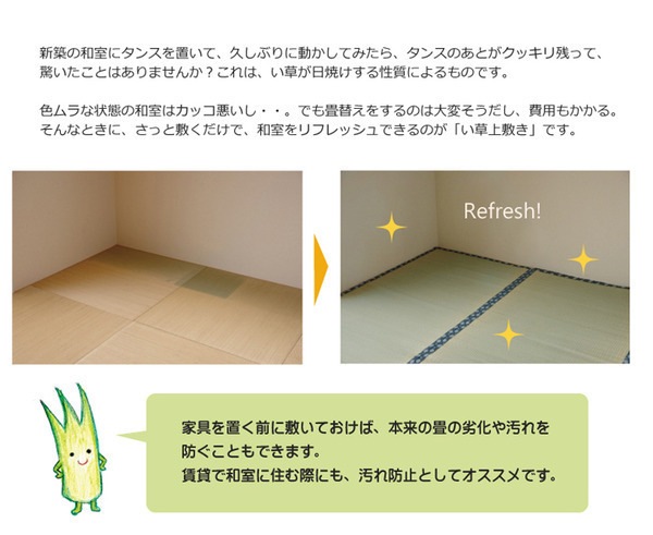 純国産/日本製 双目織 い草上敷 『ほほえみ』 江戸間6畳（約261x352cm）