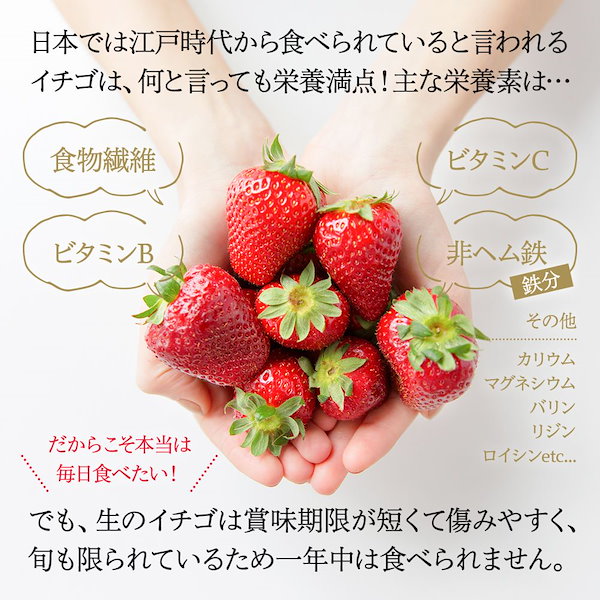 冷凍苺　福岡県産　削り苺　7kg　果物