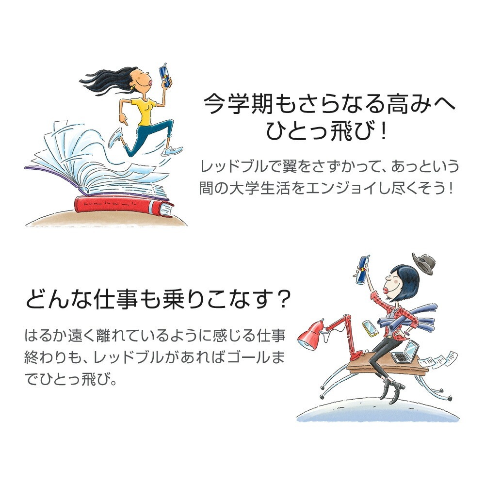 【22％OFF！1/15まで】エナジードリンク シュガーフリー 250ml × 48本 Red Bull 翼をさずける ゼロカロリー ノンシュガー 無糖 シュガーレス 栄養ドリンク 箱 redbull