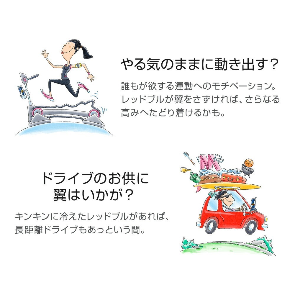 【22％OFF！1/15まで】エナジードリンク シュガーフリー 250ml × 48本 Red Bull 翼をさずける ゼロカロリー ノンシュガー 無糖 シュガーレス 栄養ドリンク 箱 redbull