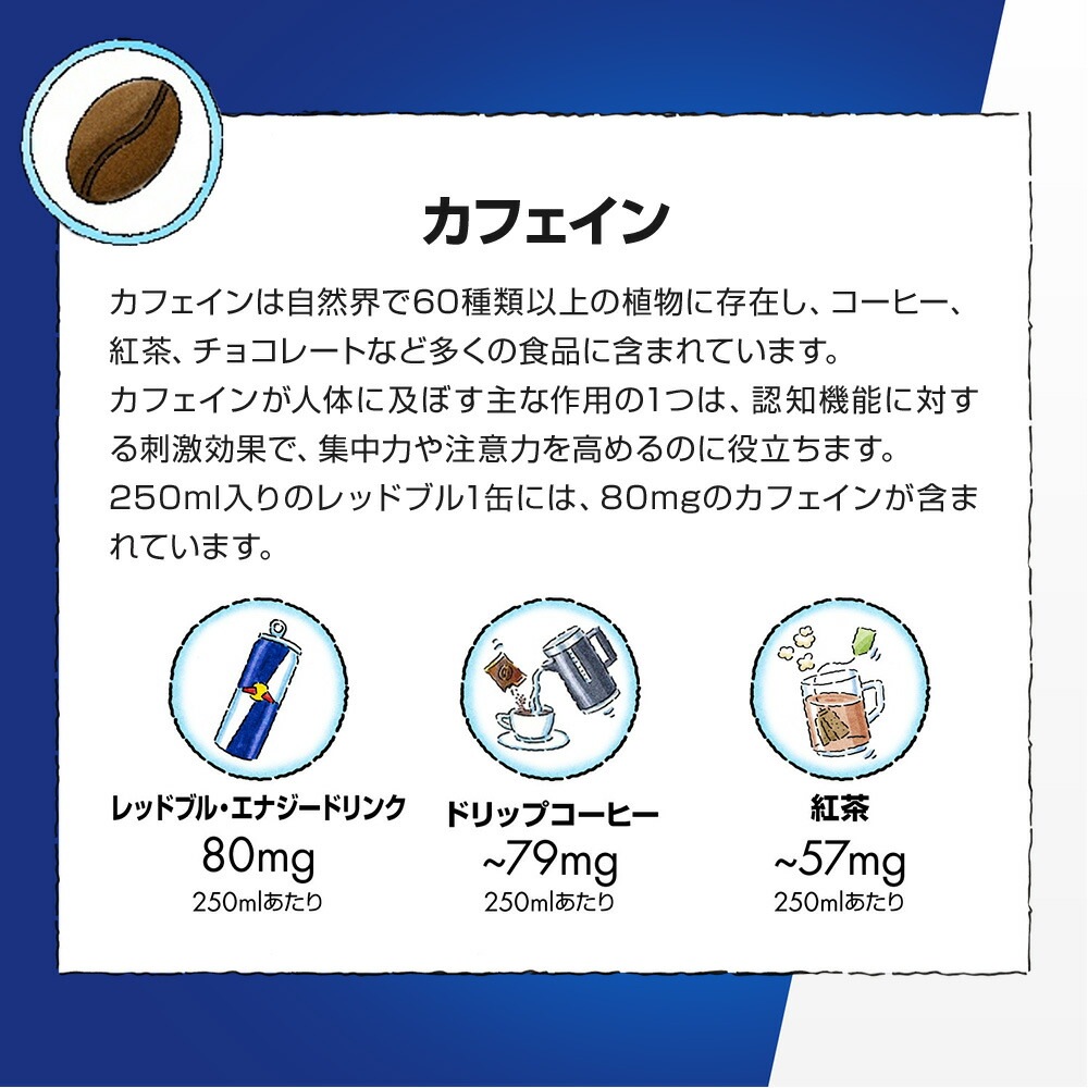 【22％OFF！1/15まで】エナジードリンク シュガーフリー 250ml × 48本 Red Bull 翼をさずける ゼロカロリー ノンシュガー 無糖 シュガーレス 栄養ドリンク 箱 redbull