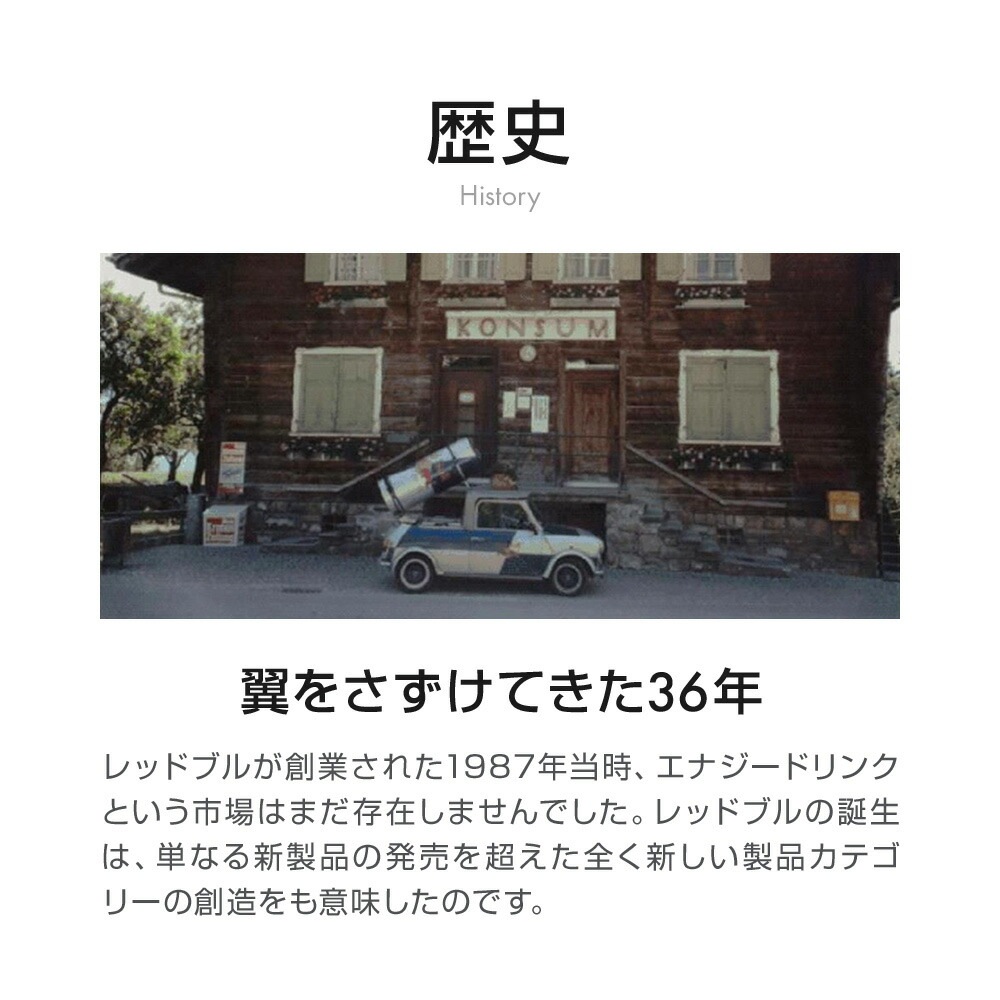【22％OFF！1/15まで】エナジードリンク シュガーフリー 250ml × 48本 Red Bull 翼をさずける ゼロカロリー ノンシュガー 無糖 シュガーレス 栄養ドリンク 箱 redbull