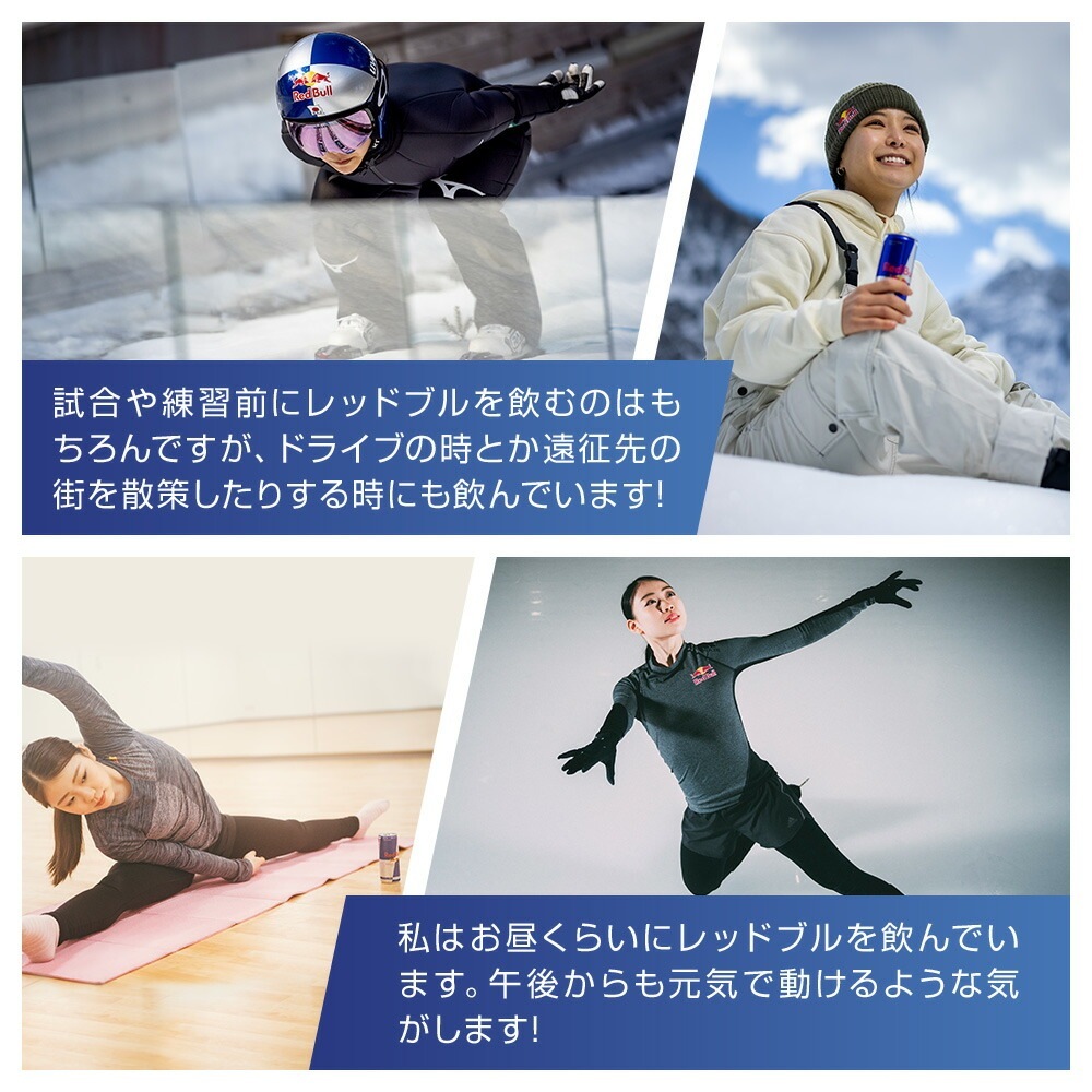 【22％OFF！1/15まで】エナジードリンク シュガーフリー 250ml × 48本 Red Bull 翼をさずける ゼロカロリー ノンシュガー 無糖 シュガーレス 栄養ドリンク 箱 redbull