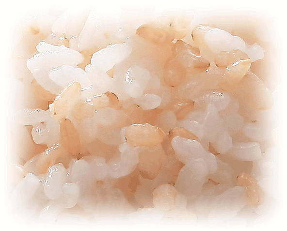 令和6年産 【無洗米】 玄白飯 げんぱくめし 10kg（5kgx2袋） 岩手ひとめぼれ使用 (玄米と白米を1:1でブレンド)