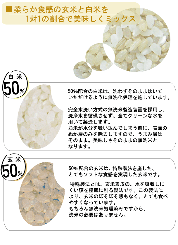 令和6年産 【無洗米】 玄白飯 げんぱくめし 10kg（5kgx2袋） 岩手ひとめぼれ使用 (玄米と白米を1:1でブレンド)