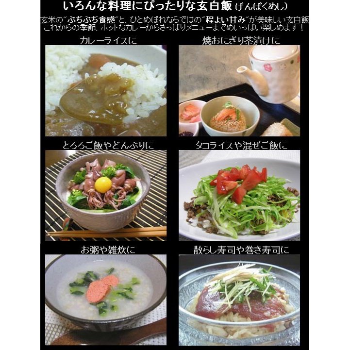 令和6年産 【無洗米】 玄白飯 げんぱくめし 10kg（5kgx2袋） 岩手ひとめぼれ使用 (玄米と白米を1:1でブレンド)