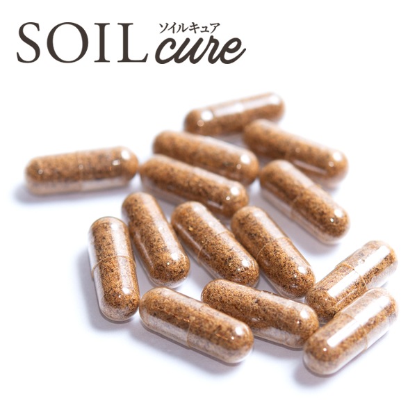 ソイルキュア カプセル 2袋セット 菌活 大豆 発酵 善玉菌 健康 美容 腸内細菌環境に必要な菌群がバランスよく入ってスッキリをサポート! ソイルキュア カプセル 2袋セット 菌活 大豆 発酵 善玉菌 健康 美容 腸内細菌環境に必要な菌群がバランスよく入ってスッキリをサポート!