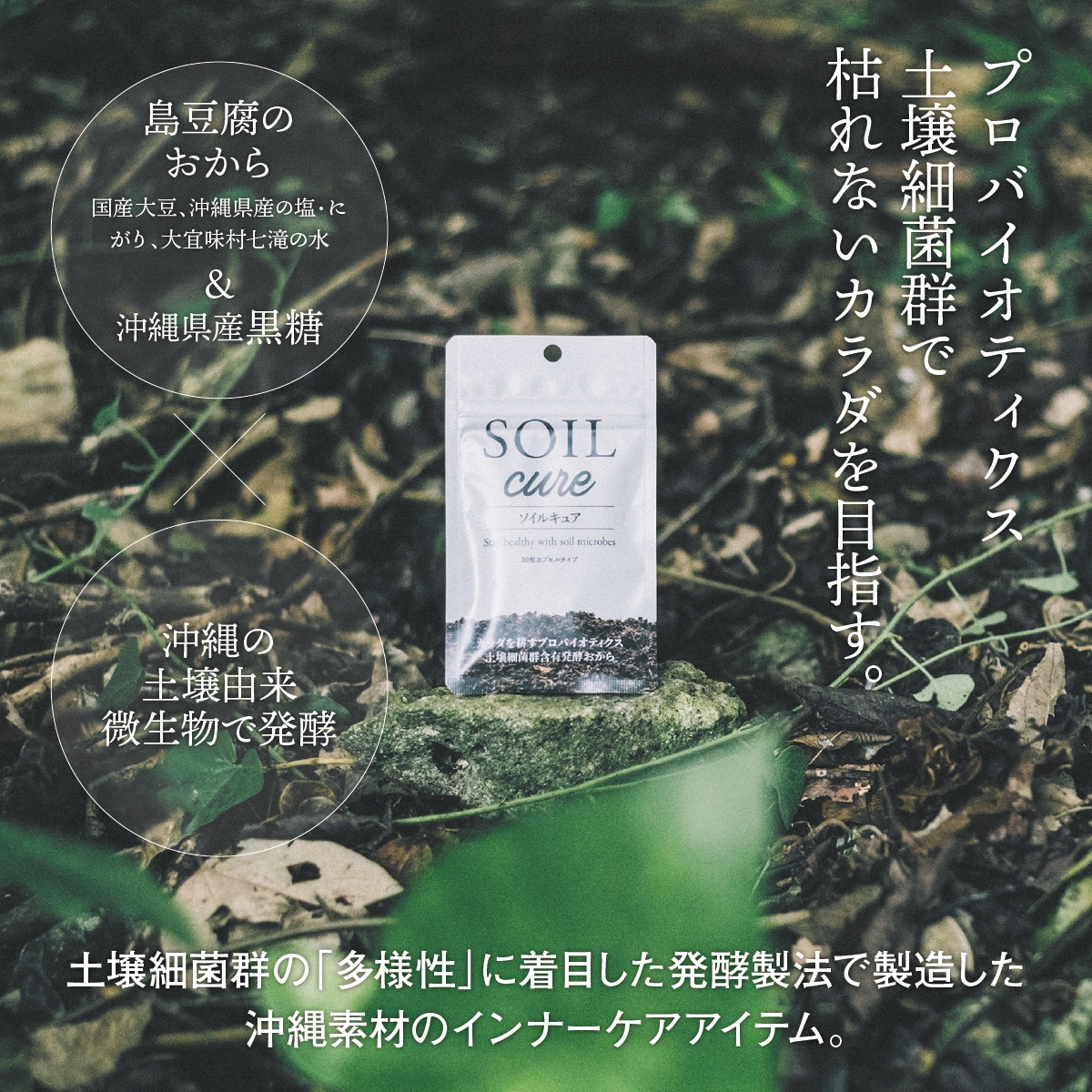 ソイルキュア カプセル 2袋セット 菌活 大豆 発酵 善玉菌 健康 美容 腸内細菌環境に必要な菌群がバランスよく入ってスッキリをサポート! ソイルキュア カプセル 2袋セット 菌活 大豆 発酵 善玉菌 健康 美容 腸内細菌環境に必要な菌群がバランスよく入ってスッキリをサポート!