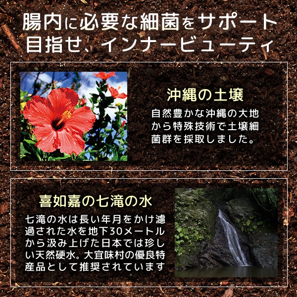 ソイルキュア カプセル 2袋セット 菌活 大豆 発酵 善玉菌 健康 美容 腸内細菌環境に必要な菌群がバランスよく入ってスッキリをサポート! ソイルキュア カプセル 2袋セット 菌活 大豆 発酵 善玉菌 健康 美容 腸内細菌環境に必要な菌群がバランスよく入ってスッキリをサポート!