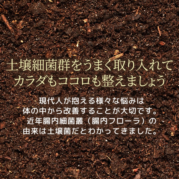 ソイルキュア カプセル 2袋セット 菌活 大豆 発酵 善玉菌 健康 美容 腸内細菌環境に必要な菌群がバランスよく入ってスッキリをサポート! ソイルキュア カプセル 2袋セット 菌活 大豆 発酵 善玉菌 健康 美容 腸内細菌環境に必要な菌群がバランスよく入ってスッキリをサポート!