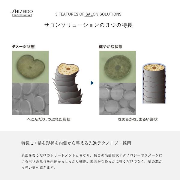 Qoo10] 資生堂プロフェッショナル 【正規品】 資生堂
