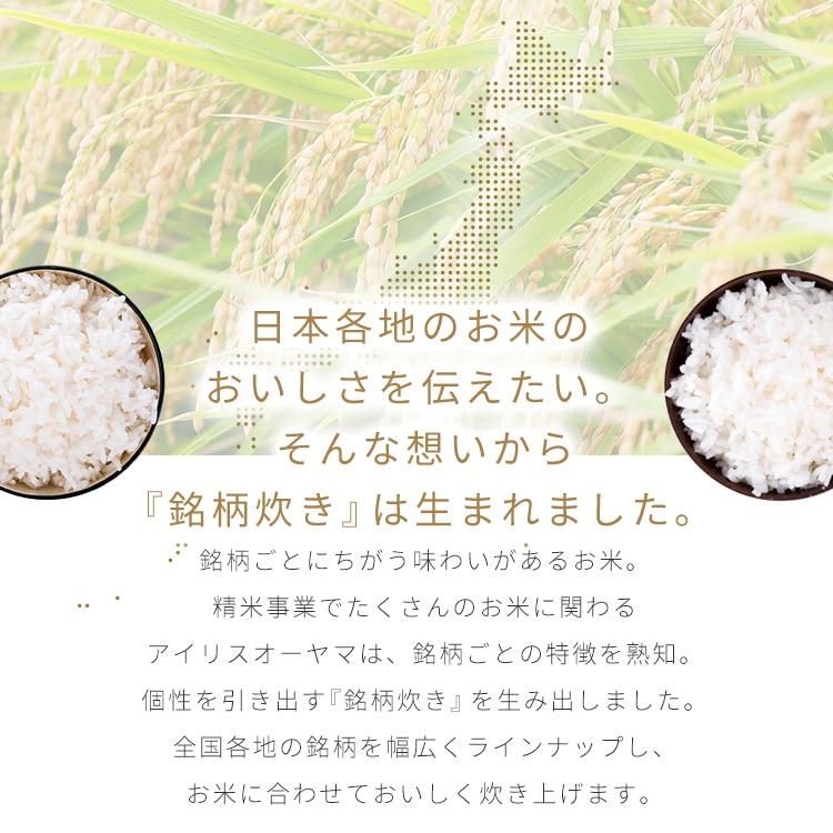【公式】 炊飯器 5.5合 新生活 ジャー炊飯器 5合 炊飯ジャー 米 ご飯 炊飯 SHK-NR110-HA アッシュ [B] メガ割