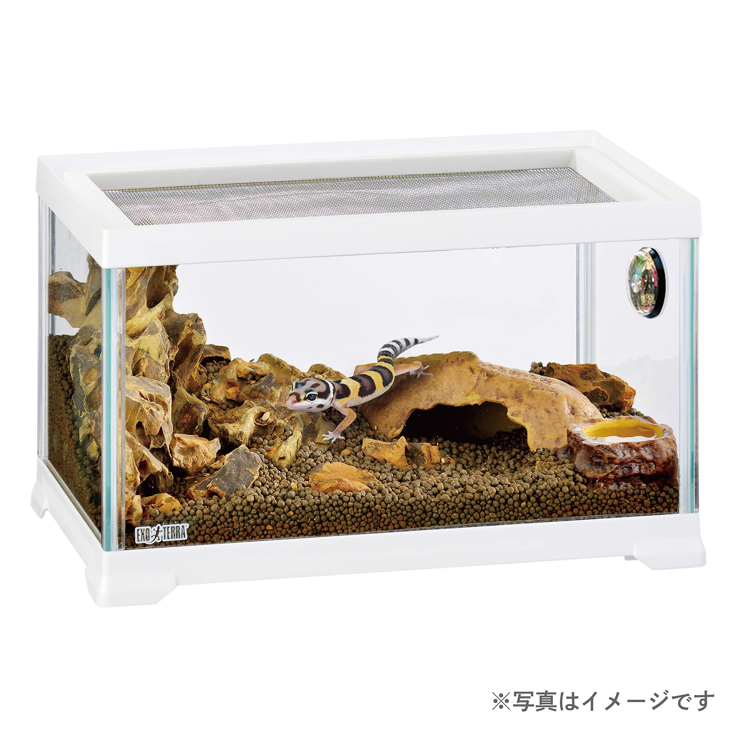 【動作確認済み】エキゾテラ ズーメッド 爬虫類用品セット 楽天市場】GEX エキゾテラ レオパ飼育キットM お一人様2点