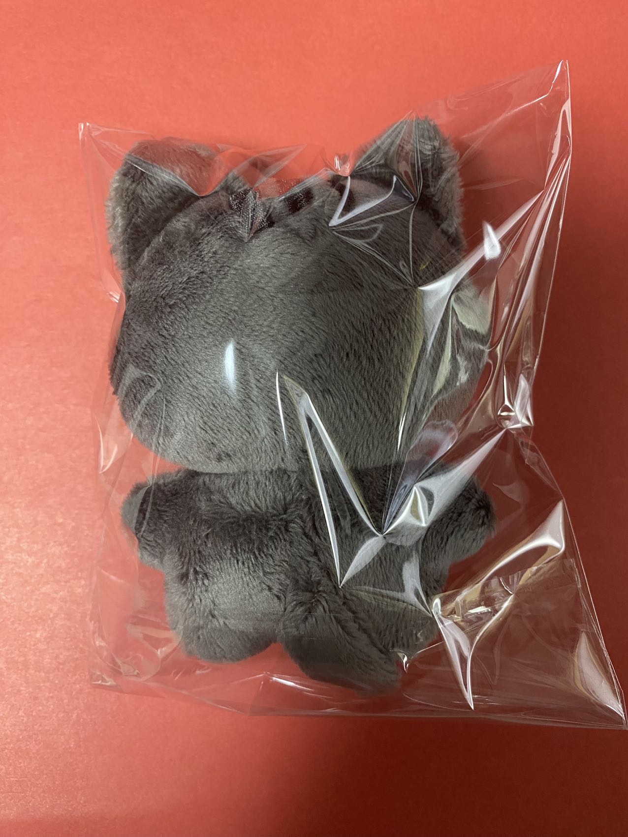 NewJeans ヘリン マスターニム ぬいぐるみ 10cm HAERIN 강해린