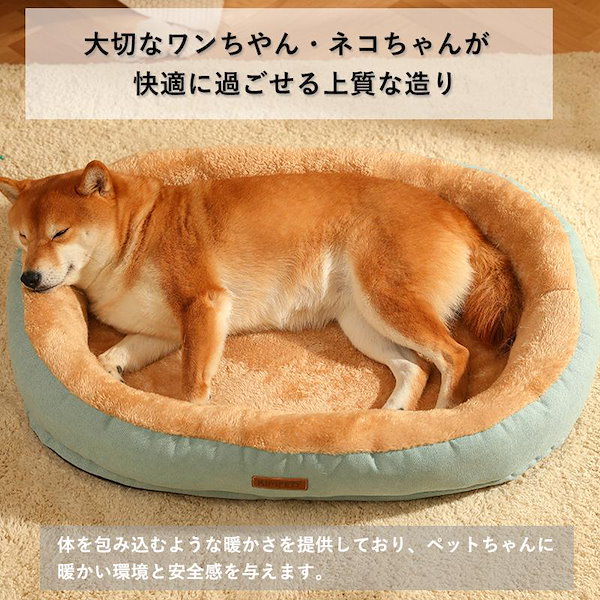 わんたいぬ4枚 柴犬 わん太 抱き枕 ぬいぐるみ