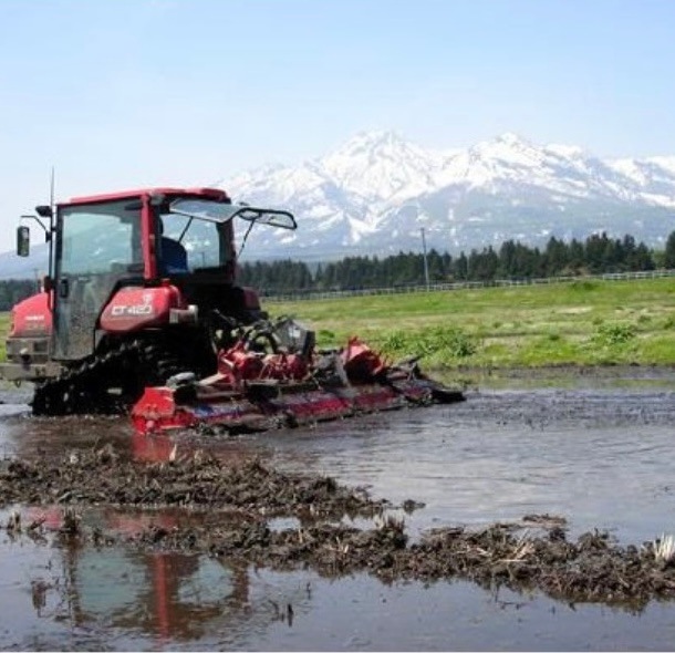 新潟県産 にじのきらめき 白米 10キロ 令和6年産 プレゼント入り 米 高級米 おいしいお米 美味しいお米 産地直送 農家の米 新潟県産 にじのきらめき 白米 10キロ 令和6年産 プレゼント入り 米 高級米 おいしいお米 美味しいお米 産地直送 農家の米