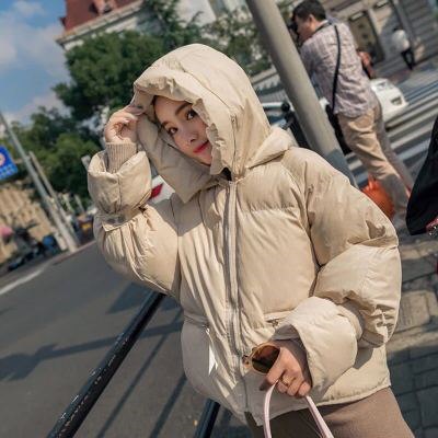 ダウンジャケットショート丈 あったか 大きいサイズ 冬 防寒 雪 ジャケットアウター カジュアル レディース 韓国ファッション カーキ、アプリコット ダウンジャケットショート丈 あったか 大きいサイズ 冬 防寒 雪 ジャケットアウター カジュアル レディース 韓国ファッション カーキ、アプリコット