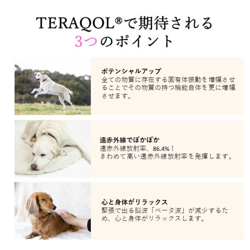 アレス コロバニィ ペタプラス 犬用首輪 YORISOUカラー レッド L 首周り43-58cm 内容量1本 アレス コロバニィ ペタプラス 犬用首輪 YORISOUカラー レッド L 首周り43-58cm 内容量1本