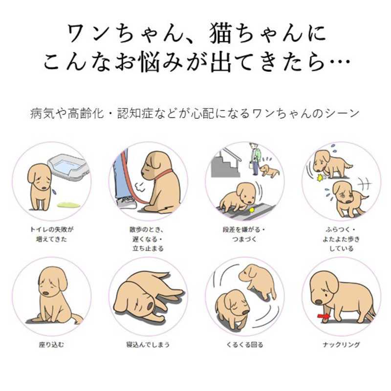 アレス コロバニィ ペタプラス 犬用首輪 YORISOUカラー レッド L 首周り43-58cm 内容量1本 アレス コロバニィ ペタプラス 犬用首輪 YORISOUカラー レッド L 首周り43-58cm 内容量1本