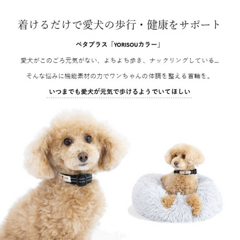アレス コロバニィ ペタプラス 犬用首輪 YORISOUカラー レッド L 首周り43-58cm 内容量1本 アレス コロバニィ ペタプラス 犬用首輪 YORISOUカラー レッド L 首周り43-58cm 内容量1本