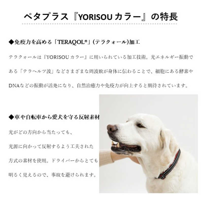 アレス コロバニィ ペタプラス 犬用首輪 YORISOUカラー レッド L 首周り43-58cm 内容量1本 アレス コロバニィ ペタプラス 犬用首輪 YORISOUカラー レッド L 首周り43-58cm 内容量1本