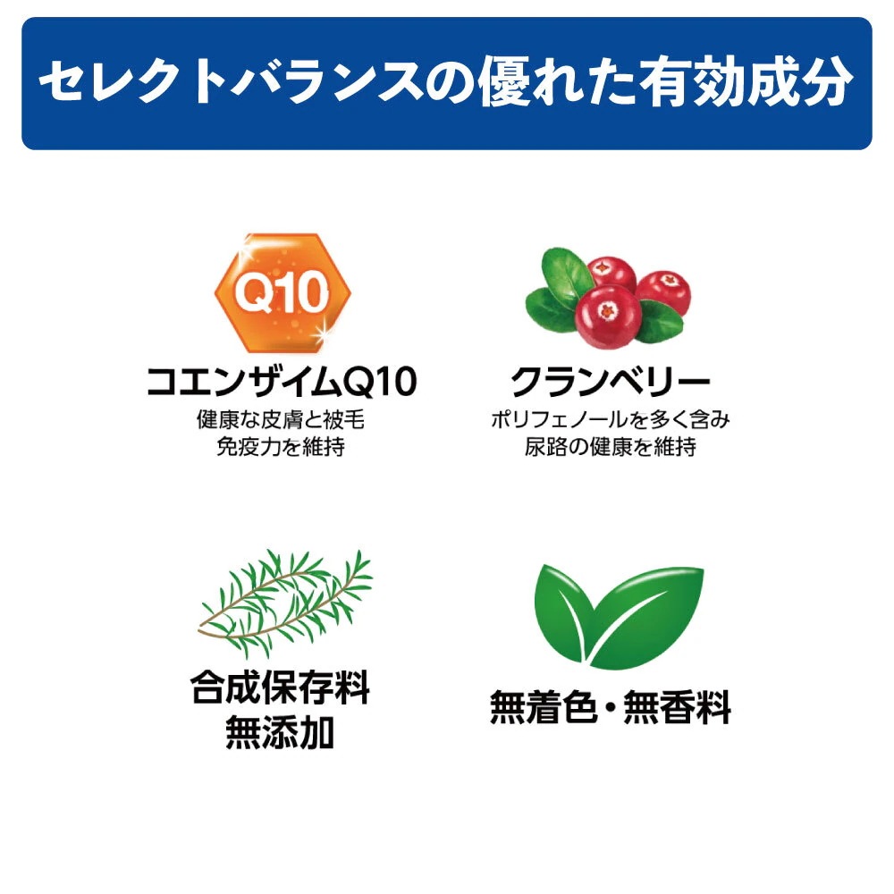 セレクトバランス エイジングケア 7才以上の成犬用 ラム 小粒 3kg 犬 ドッグフード 犬用 フード ドライ シニア 高齢犬用 コエンザイムQ10 アレルギー