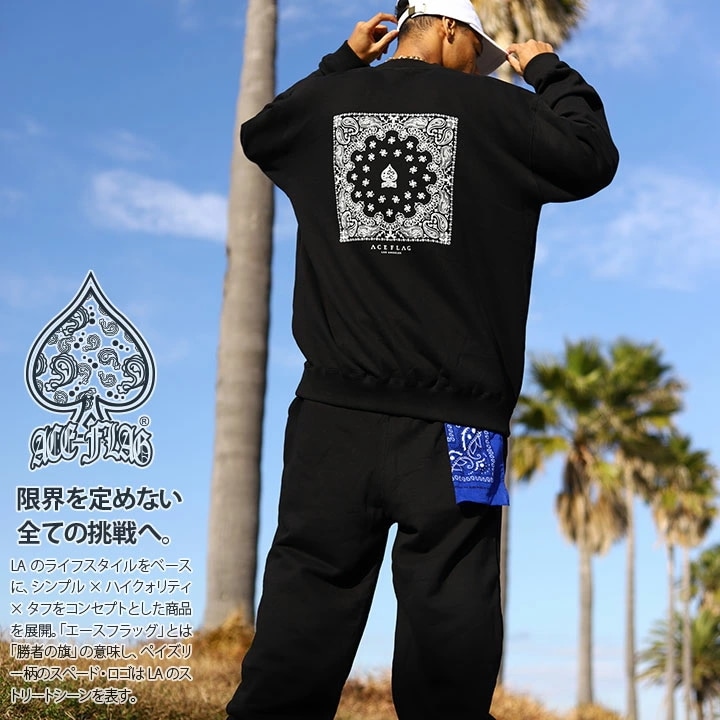 ACE FLAG 上下セット 長袖 ブランド スケボー メンズ 春秋冬用 黒 白 大きいサイズ エースフラッグ セットアップ トレーナー スウェット 裏パイル ACE