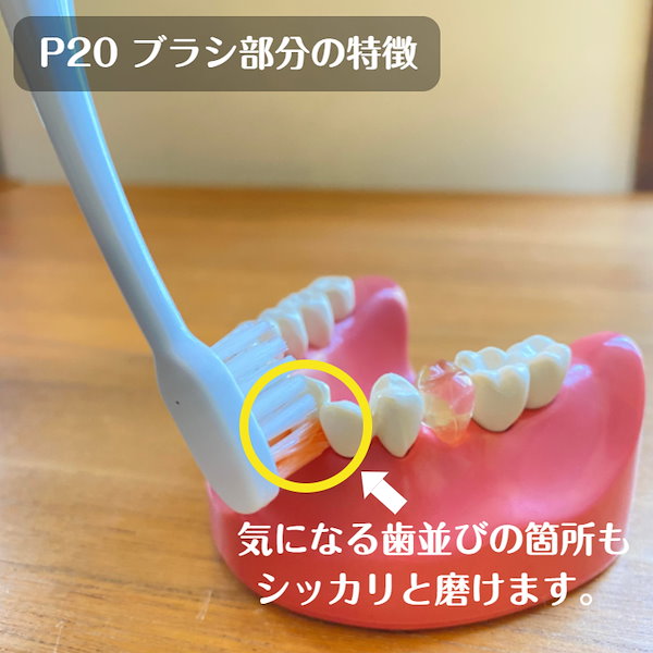 PINK. プロフ必読ルシェロ歯ブラシB-20M100本 Amazon | ジーシー GC ルシェロ B-20 ピセラ 歯ブラシ M ふつう