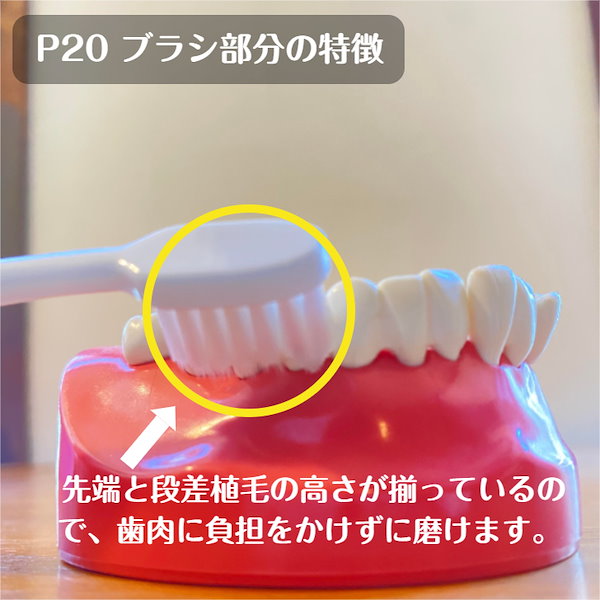 Qoo10] GC ルシェロ P-20 M/S ピセラ 歯ブ