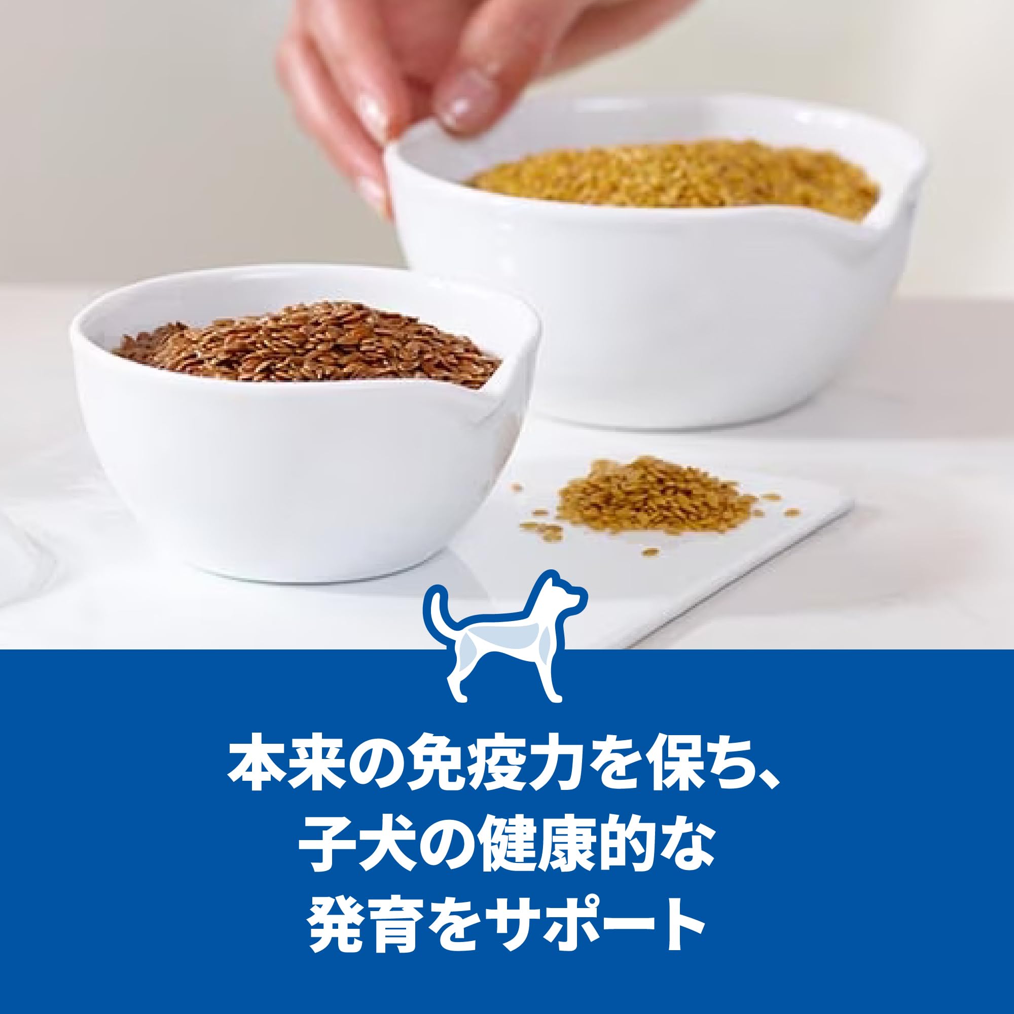 ヒルズ サイエンス・ダイエット サイエンスダイエット ドッグフード パピー 12ヶ月まで 小粒 チキン 6.5 子犬用 ドライ ヒルズ サイエンス・ダイエット サイエンスダイエット ドッグフード パピー 12ヶ月まで 小粒 チキン 6.5 子犬用 ドライ