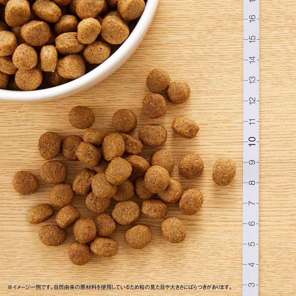 ニュートロ　ラム＆玄米　中型犬ー大型犬用　成犬用　４ｋｇ　プロテインシリーズ　お一人様５点限り　ＣＲＣ45―02―53―20―00