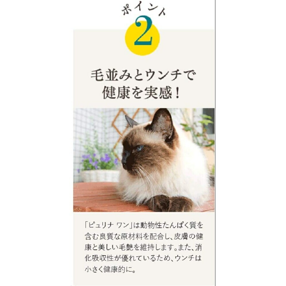 ピュリナ ワン ピュリナワンキャット 体重ケア ターキー 4.4kg (1ケース 440g10袋) ピュリナ ワン ピュリナワンキャット 体重ケア ターキー 4.4kg (1ケース 440g10袋)