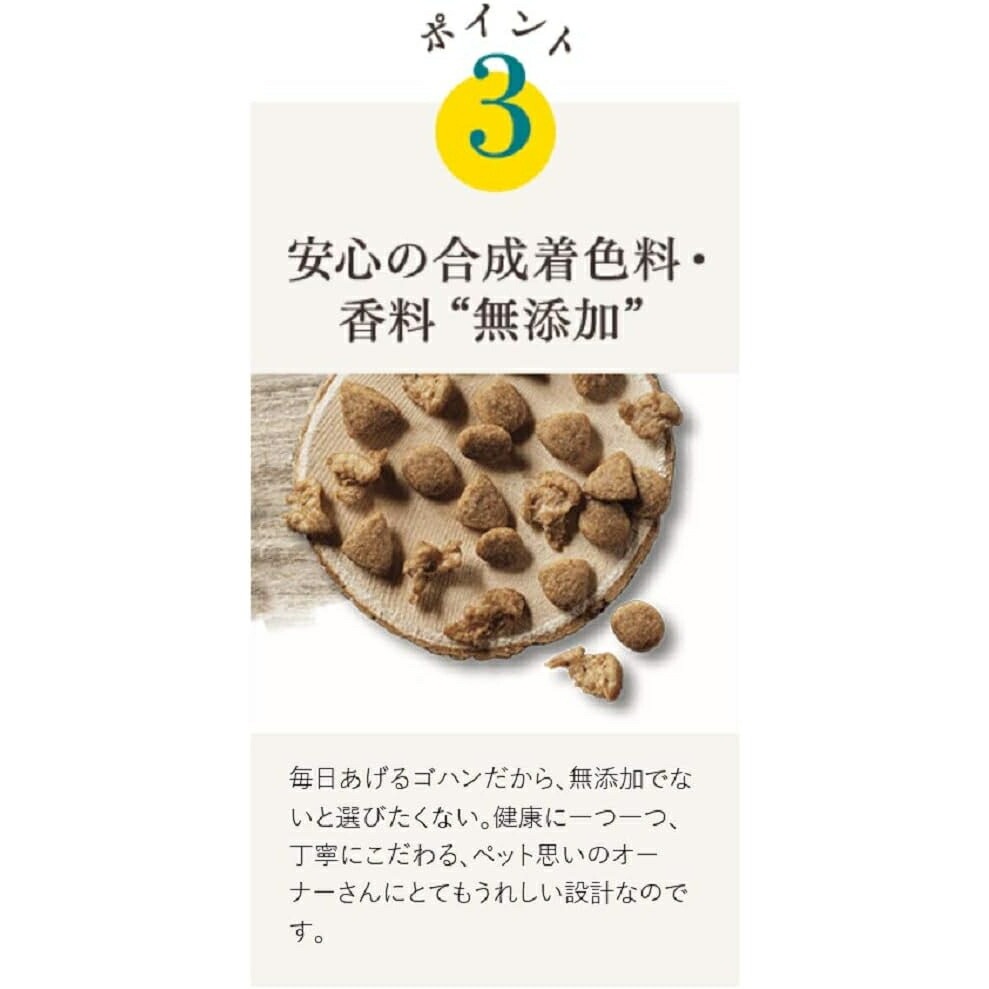 ピュリナ ワン ピュリナワンキャット 体重ケア ターキー 4.4kg (1ケース 440g10袋) ピュリナ ワン ピュリナワンキャット 体重ケア ターキー 4.4kg (1ケース 440g10袋)
