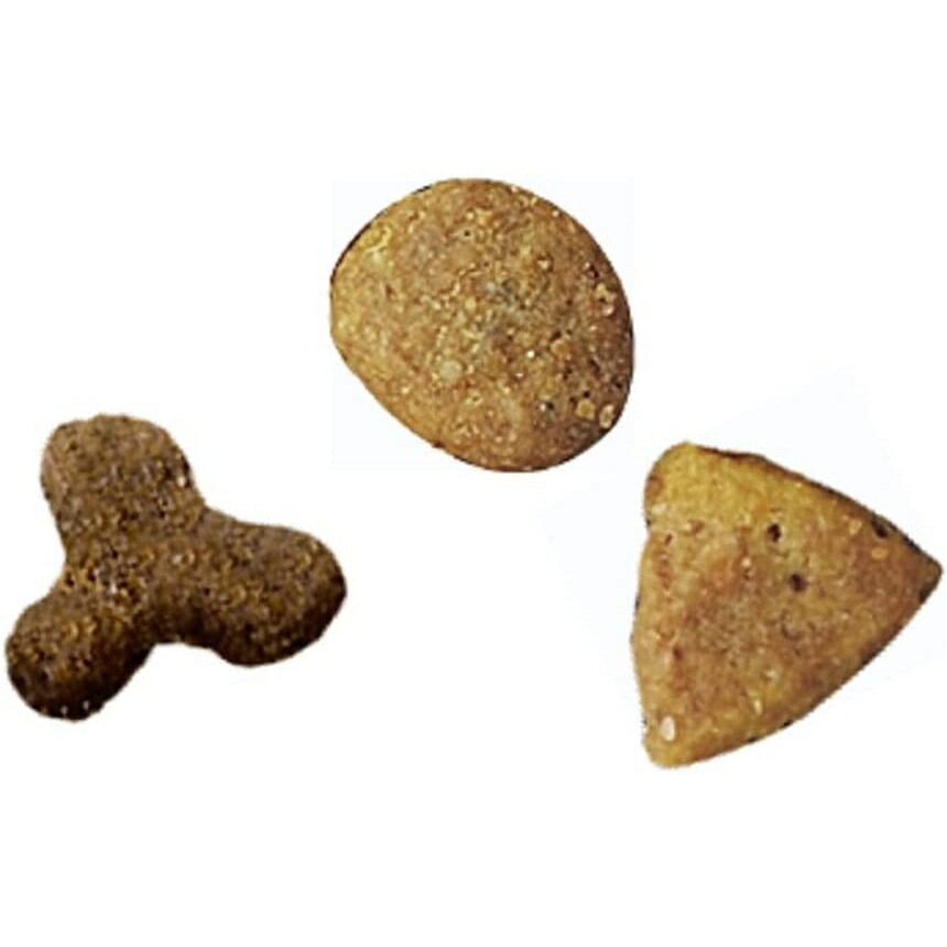 ピュリナ ワン ピュリナワンキャット 体重ケア ターキー 4.4kg (1ケース 440g10袋) ピュリナ ワン ピュリナワンキャット 体重ケア ターキー 4.4kg (1ケース 440g10袋)