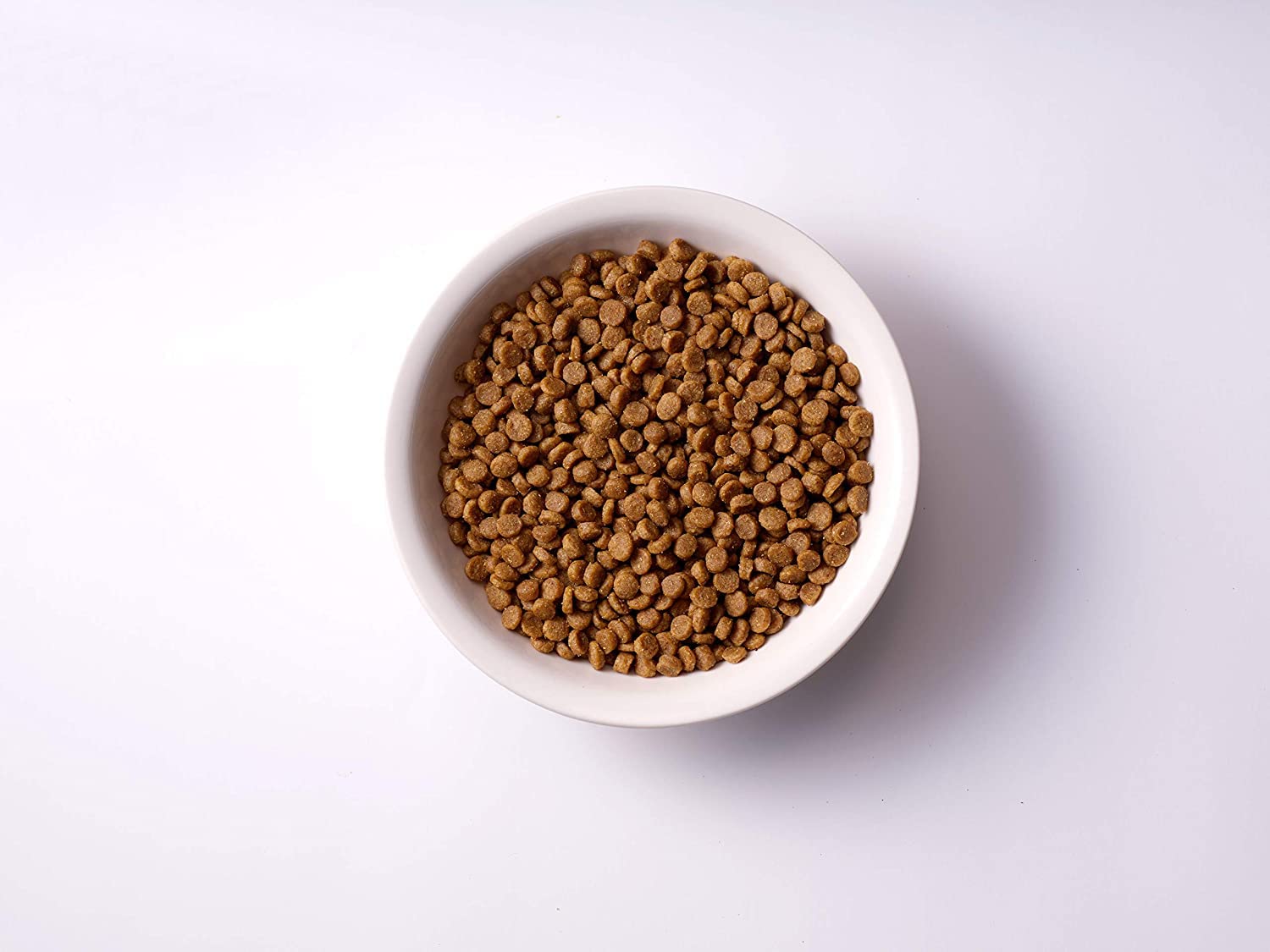 ソルビダ グレインフリー チキン 室内飼育成犬用 1.8kg ソルビダ グレインフリー チキン 室内飼育成犬用 1.8kg