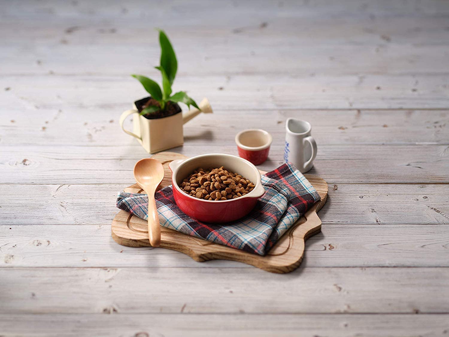 ソルビダ グレインフリー チキン 室内飼育成犬用 1.8kg ソルビダ グレインフリー チキン 室内飼育成犬用 1.8kg