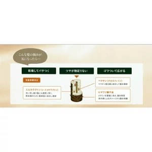 サローネシャンプー&トリートメント&ヘアエッセンス&ヘアクリームの４点セット mdprevattcaulkingandwaterproofing.com