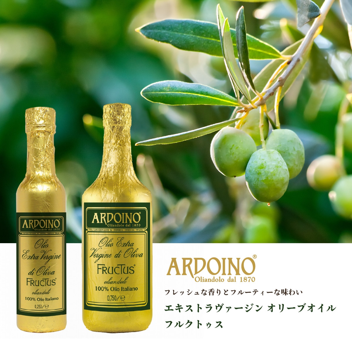 ARDOINO オリーブオイル682gx2本 Qoo10] アルドイノ エキストラバージンオリーブオ