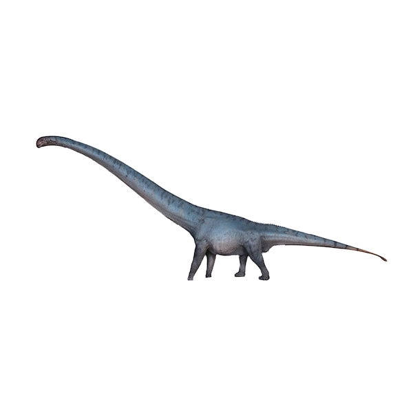 恐竜モデル グレー 約15cm Amazon.co.jp: 恐竜 羽毛ティラノサウルス ビニールモデル