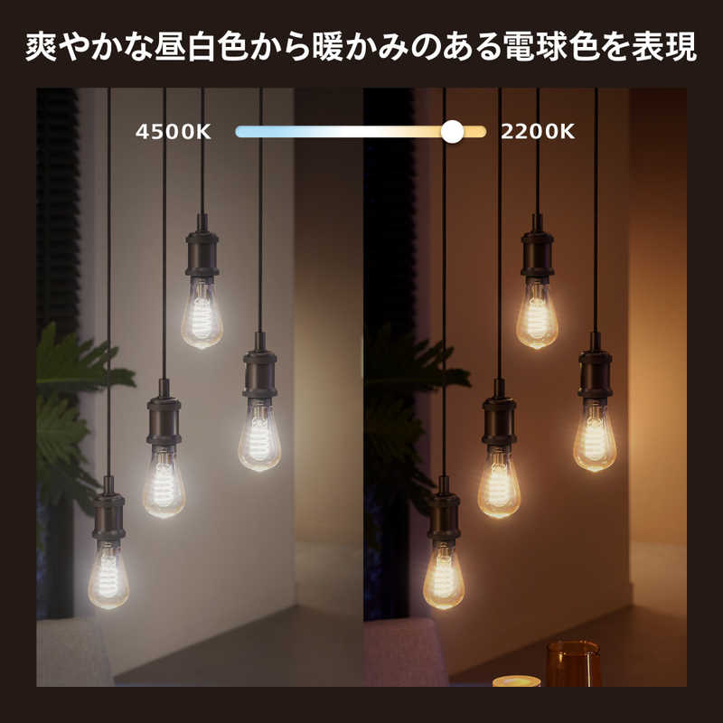 フィリップス　PHILIPS　Philips Hue フィラメント ホワイトグラデーション LED電球 エジソン形［E26 /一般電球形 /40W相当 /1個 /広配光タイプ］　PHFL64