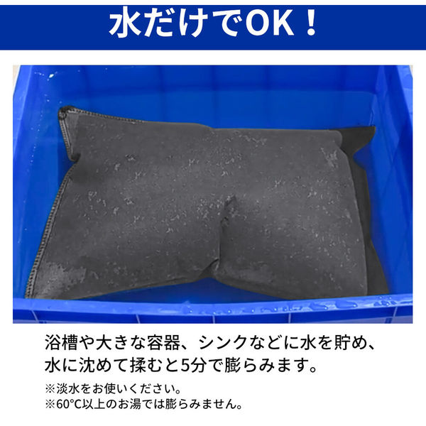 （まとめ買い）小林薬品 RABLISS 緊急簡易土のう 10枚入 KO375 [x3]