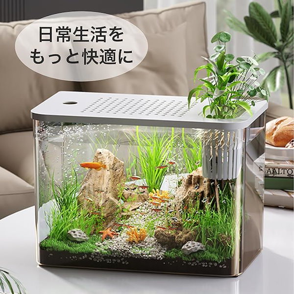 金魚鉢 水槽 アクアリウム ガラス 丸型 あつく 観葉植物 水培 金魚鉢 水槽 アクアリウム ガラス 丸型 あつく 観葉植物 水培