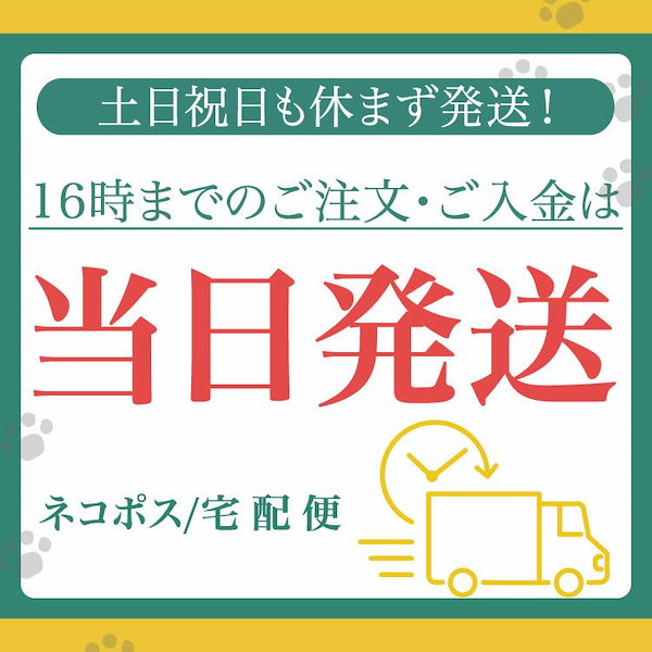 Qoo10] 新商品の販売透け感 バニーガールコスプレ