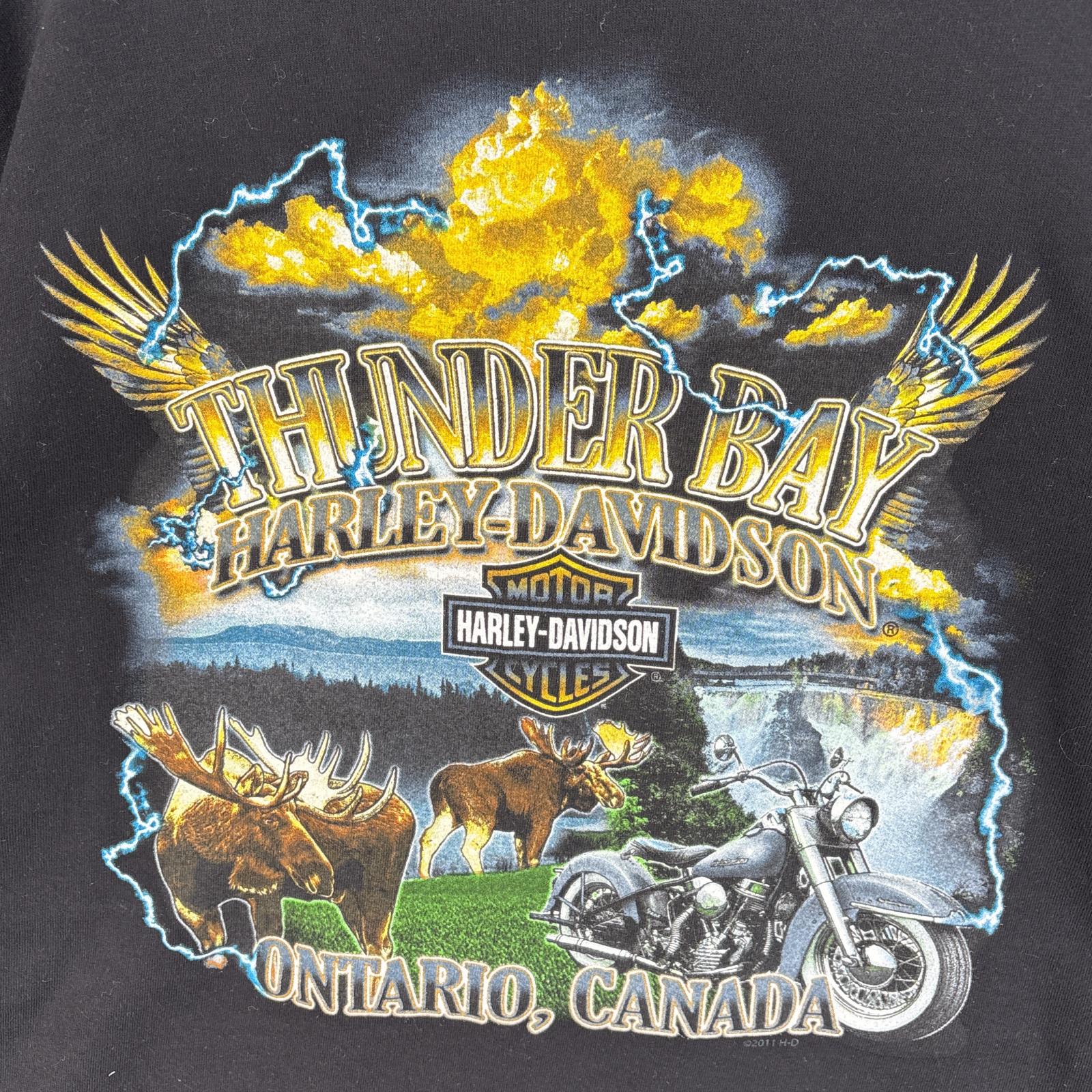 古着 長袖Tシャツ 両ラバープリント 袖プリント 大きいサイズ 2XL ブラック系 メンズ agenciaidee.com