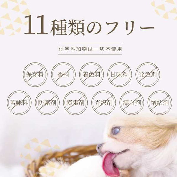 Qoo10] アイコナ aikona 犬用 サプリメン