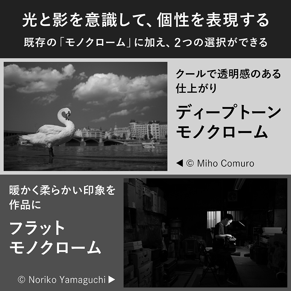 ニコン ZFLK40SE ミラーレス一眼カメラ「Z f」40mm f/2(SE)レンズキット ZFLK40SE ニコン ZFLK40SE ミラーレス一眼カメラ「Z f」40mm f/2(SE)レンズキット ZFLK40SE