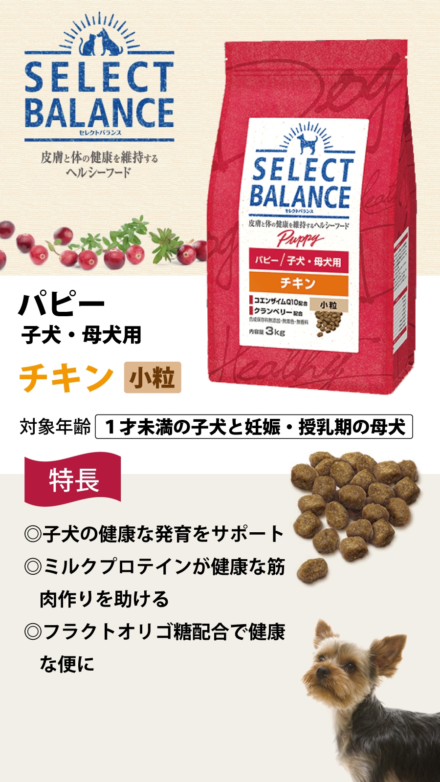 セレクトバランス パピー チキン 小粒 3kg【わんわんウエットてぃっしゅ1個付き】 セレクトバランス パピー チキン 小粒 3kg【わんわんウエットてぃっしゅ1個付き】