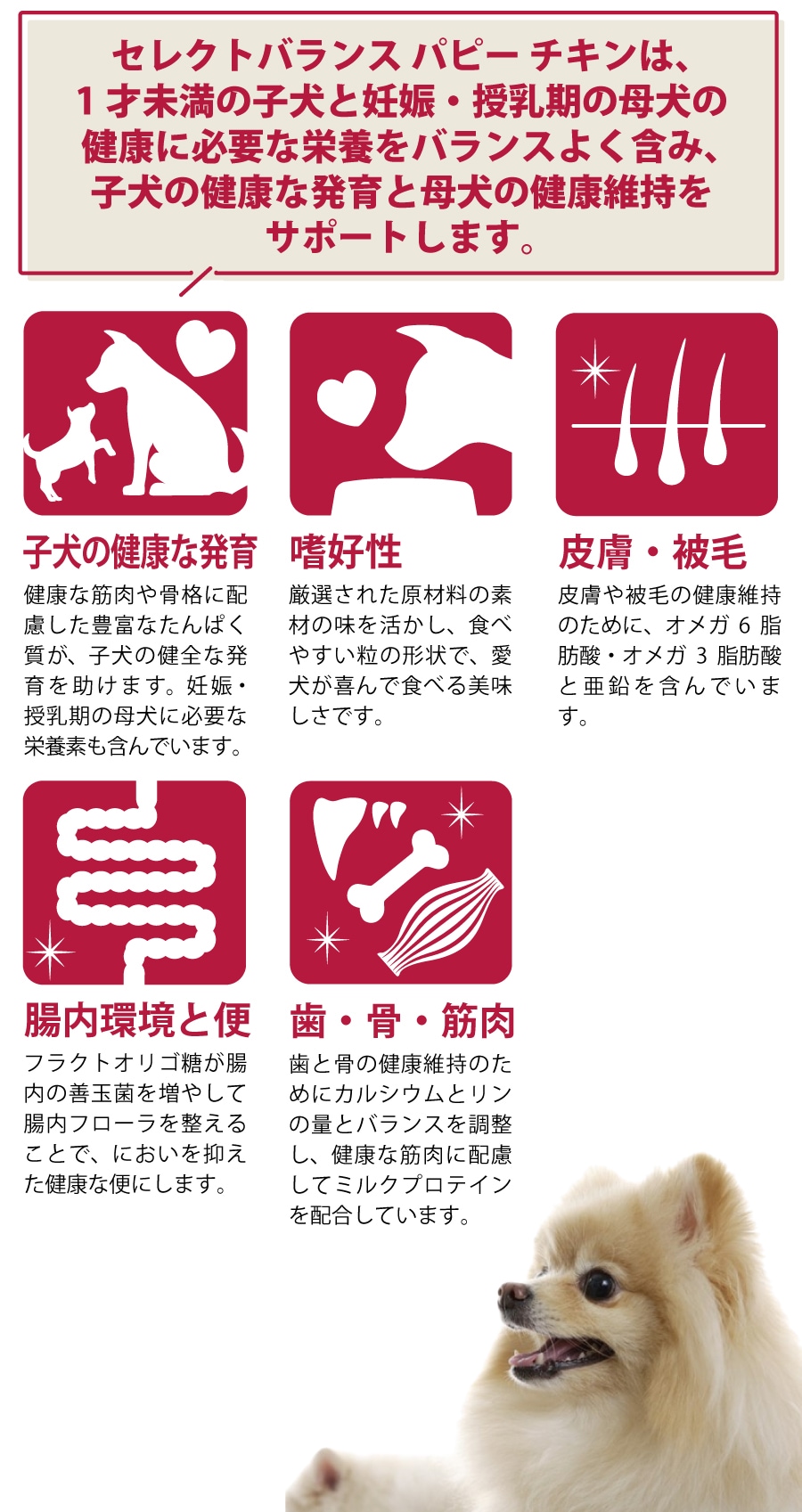 セレクトバランス パピー チキン 小粒 3kg【わんわんウエットてぃっしゅ1個付き】 セレクトバランス パピー チキン 小粒 3kg【わんわんウエットてぃっしゅ1個付き】